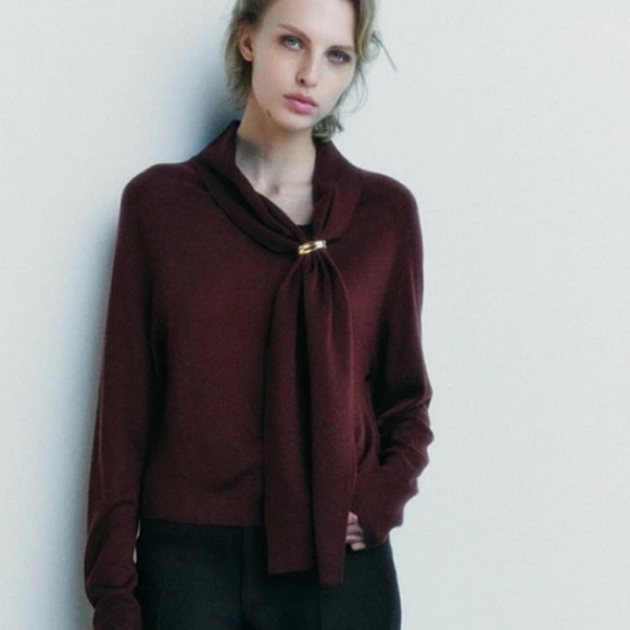 NWT ZARA burgundy WOOL BLEND BROOCH
SWEATER SiZE M
🚨PRICE FIRM NO DISCOUNT - Picture 7 of 8
